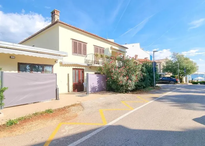 Fiore Two Novigrad Istria